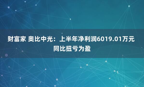 财富家 奥比中光:上半年净利润6019.01万元 同比扭亏为盈