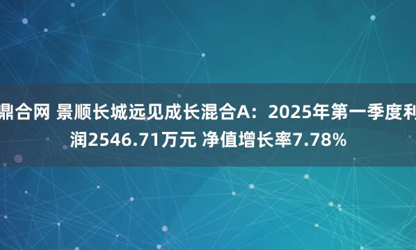 鼎合网 景顺长城远见成长混合A：2025年第一季度利润2546.71万元 净值增长率7.78%